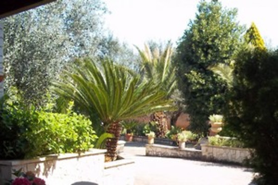 Contrada Macchia - photo 3