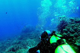 + MAR BUCEO