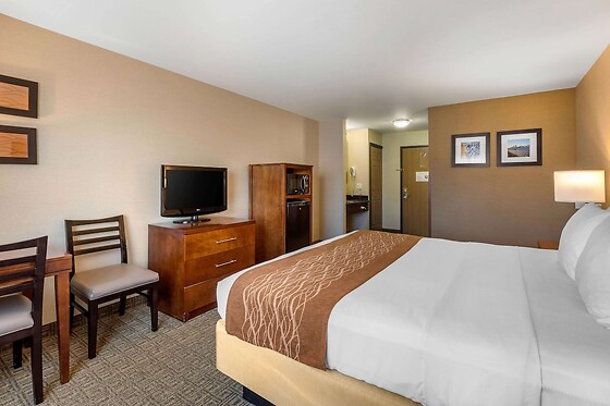 Online Booking EPS - photo 12