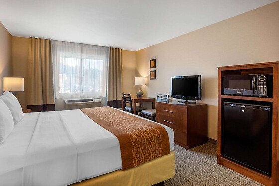 Online Booking EPS - photo 11