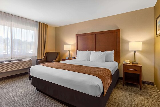 Online Booking EPS - photo 5