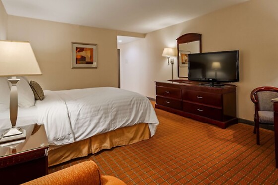 Online Booking EPS - photo 7