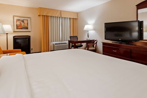 Online Booking EPS - photo 8