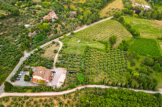 Visita guidata al frantoio con degustazione di olii presso Frantoio La Macina a Chianciano Terme