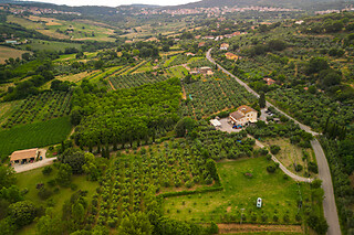 Visita guidata al frantoio con degustazione di olii presso Frantoio La Macina a Chianciano Terme