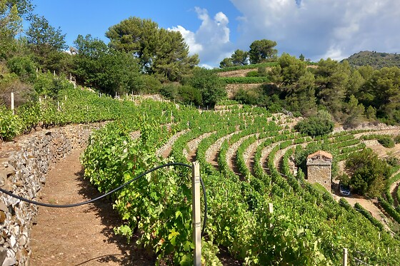 Azienda Ka Mancinè - photo 1