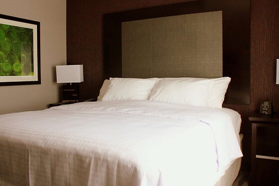 Online Booking EPS - photo 11