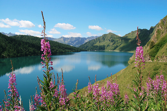 Rifugio Lago Ritom - photo 0