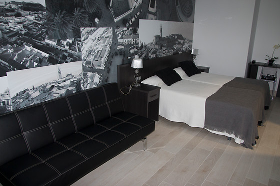 HOTEL BARRIO NUEVO - photo 7