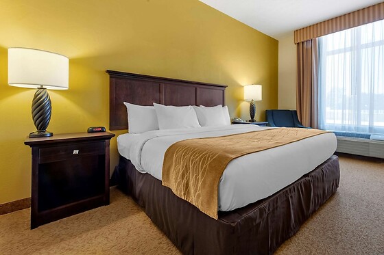 Online Booking EPS - photo 10