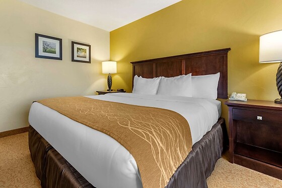 Online Booking EPS - photo 8