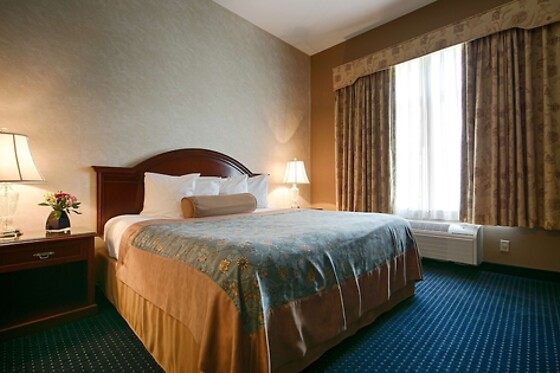 Online Booking EPS - photo 2