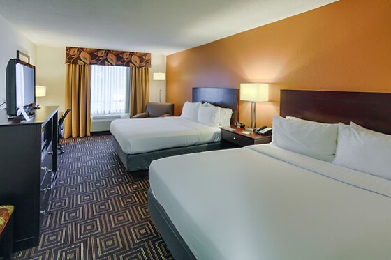 Online Booking EPS - photo 5