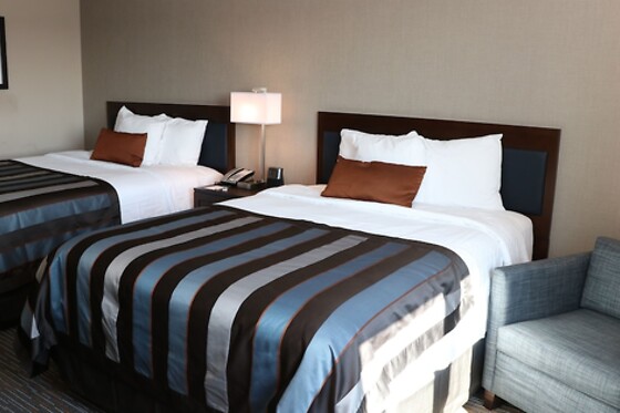 Online Booking EPS - photo 1