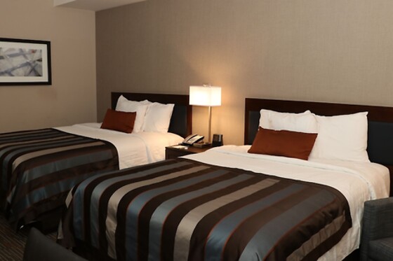 Online Booking EPS - photo 8