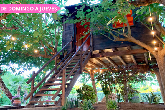 NATURE TREE HOUSE - photo 6
