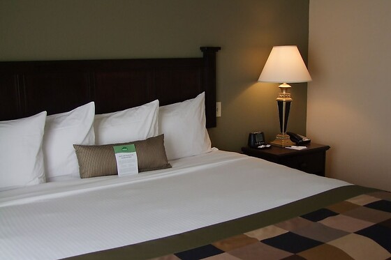 Online Booking EPS - photo 8