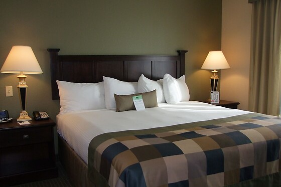 Online Booking EPS - photo 7