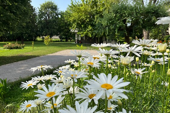 Accesso alla spa da 2h con apericena per due presso Marimastè in provincia di Treviso