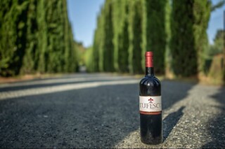 Visita guidata alla cantina con degustazione di 5 calici presso Tenuta Moriano nel cuore del Chianti