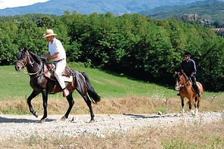Uscita a Cavallo per 2 persone presso l'Agriturismo Carovane in provincia di Parma