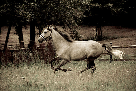 Instinct Photo 76 - photo 13