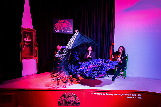 ALBOREA TABLAO FLAMENCO - photo 8