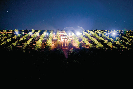 PAGO DE LAS ENCOMIENDAS VIÑEDOS Y BODEGAS - photo 3