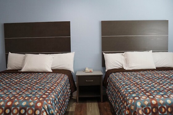 Online Booking EPS - photo 4