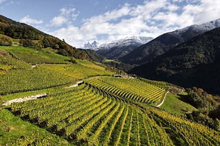 Visita alla cantina con degustazione di 5 vini e bottiglie in omaggio presso Cantina della Valle d’Isarco in provincia di Bolzano