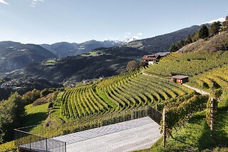 Visita alla cantina con degustazione di 5 vini e bottiglie in omaggio presso Cantina della Valle d’Isarco in provincia di Bolzano