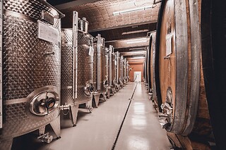 Visita alla cantina con degustazione di 5 vini e bottiglie in omaggio presso Cantina della Valle d’Isarco in provincia di Bolzano