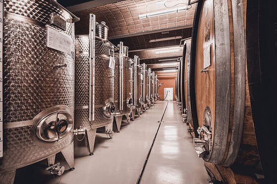 Cantina Valle Isarco - photo 8