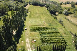 Soggiorno di una notte alla scoperta del vino presso Relais Parco Fiorito & SPA  in provincia di Arezzo