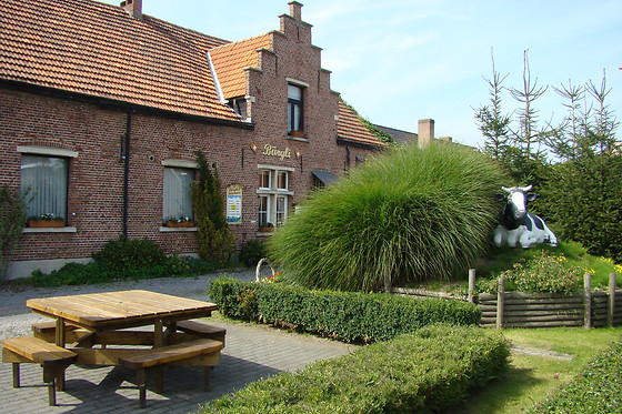 Restaurant Bärgli - photo 2