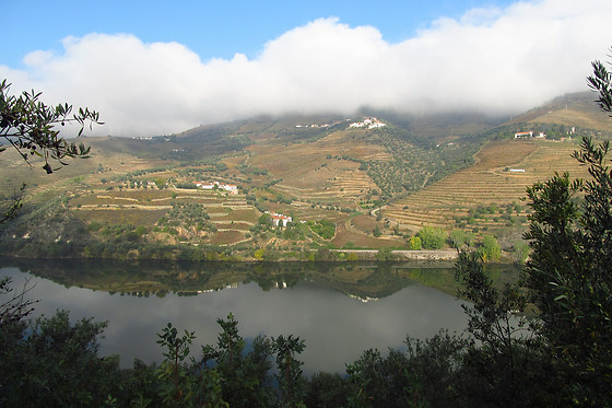 Manos do Douro - photo 9