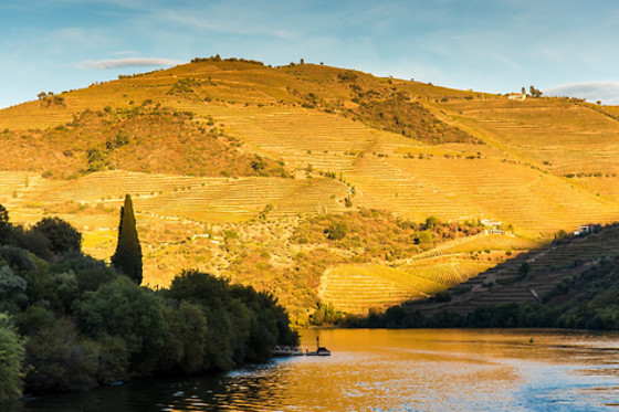 Manos do Douro - photo 11
