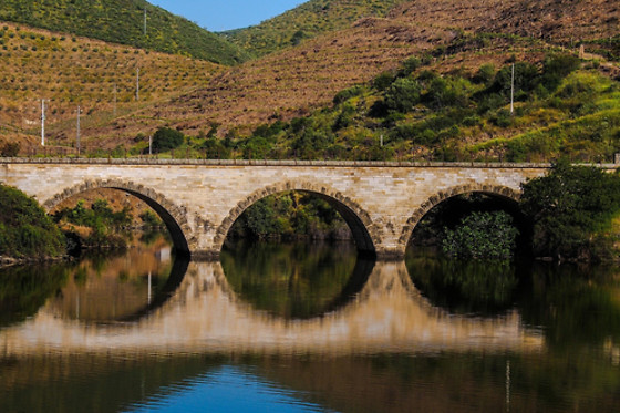 Manos do Douro - photo 10