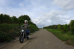 Watt Rider
