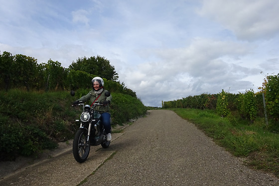 Watt Rider - photo 2