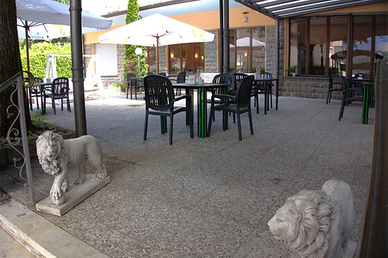 Hotel Garden - photo 4