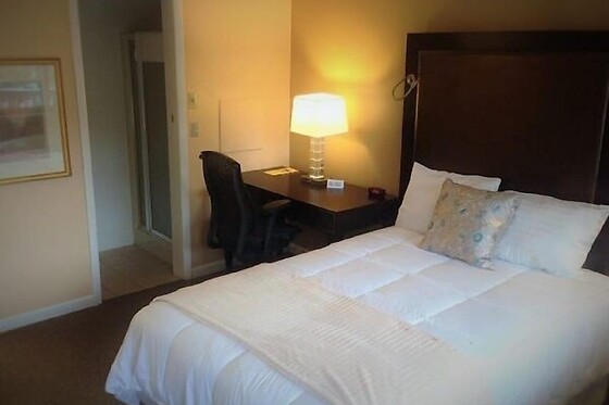 Online Booking EPS - photo 3