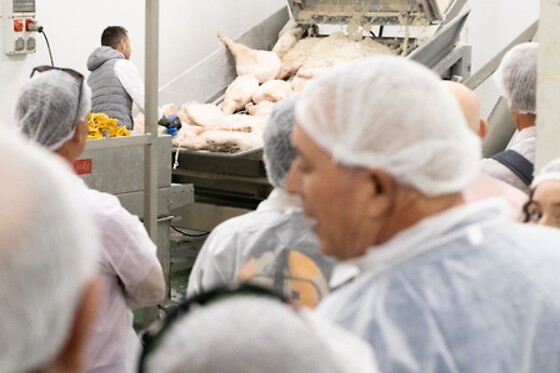 CENTRO DE INTERPRETACIÓN DEL JAMON QUESADA CARPIO - photo 17