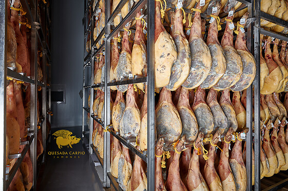 CENTRO DE INTERPRETACIÓN DEL JAMON QUESADA CARPIO - photo 12