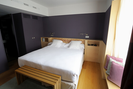HOTEL RESORT BALNEARIO DE PANTICOSA - photo 25