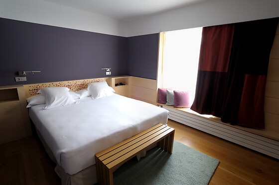 HOTEL RESORT BALNEARIO DE PANTICOSA - photo 26