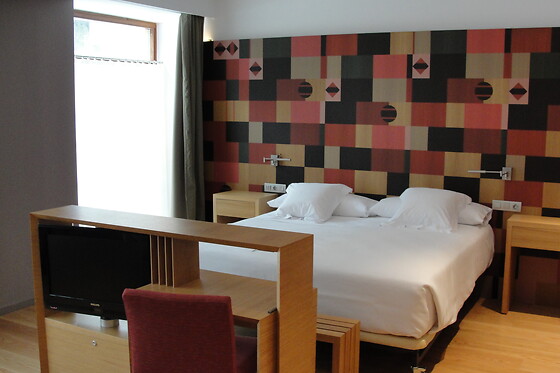HOTEL RESORT BALNEARIO DE PANTICOSA - photo 18
