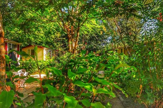 Soggiorno insolito di due notti in Lodgetent all' International Glamping lago di Bracciano in provincia di Roma