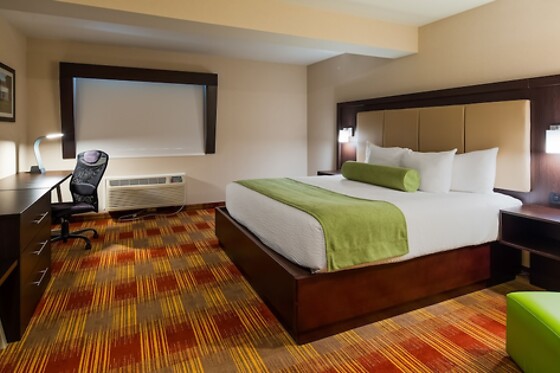 Online Booking EPS - photo 0