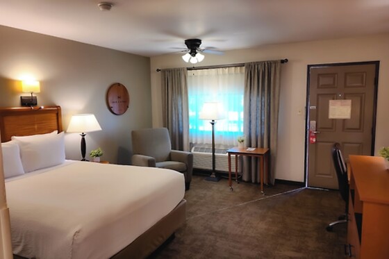 Online Booking EPS - photo 1